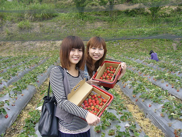 P1180167.jpg