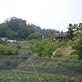 P1180176.jpg