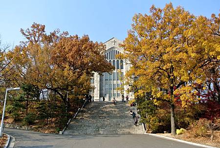 DSC_7638_副本.jpg