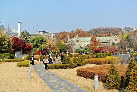 DSC_7641_副本.jpg