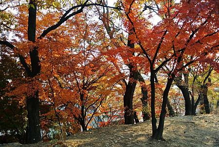 DSC_7670_副本.jpg