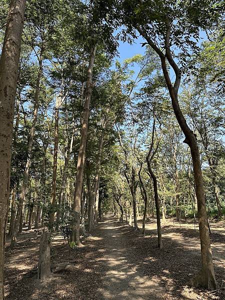 【台南 仁德十鼓】捷絲旅 台南虎山館 鄰近十鼓文創園區及奇美