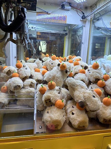 【宜蘭景點】回巢農場 宜蘭體驗餵食小動物/水豚、狐獴和會撞人