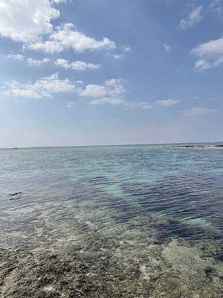 沖繩北部景點推薦【備瀨崎海灘】私房海灘景點/沿岸就有好多小魚