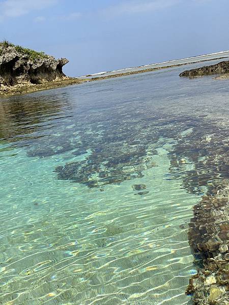 沖繩北部景點推薦【備瀨崎海灘】私房海灘景點/沿岸就有好多小魚