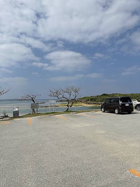 沖繩北部景點推薦【備瀨崎海灘】私房海灘景點/沿岸就有好多小魚