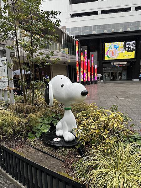 2025 東京史努比博物館 SNOOPY MUSEUM TO