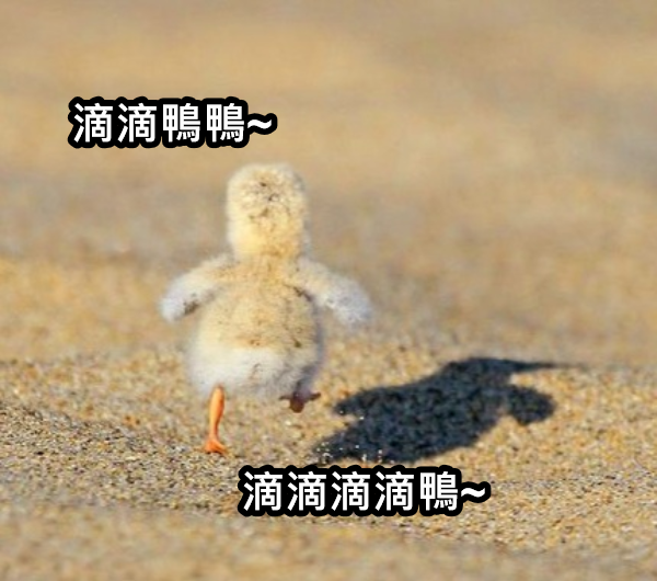 1632731955585(1) 1632731955585(1)