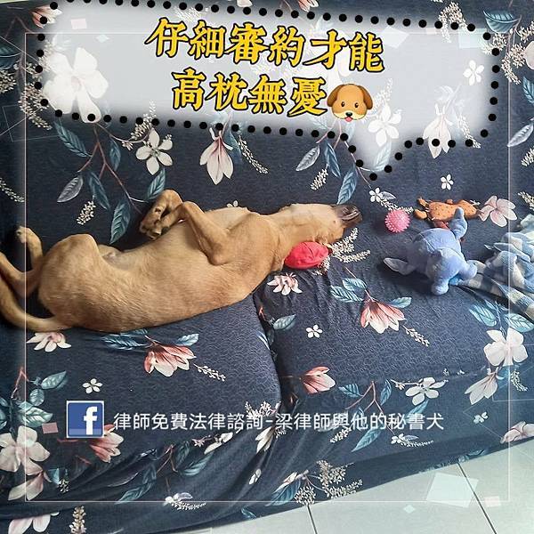 244523808_292165996057574_6003839090091416244_n 244523808_292165996057574_6003839090091416244_n