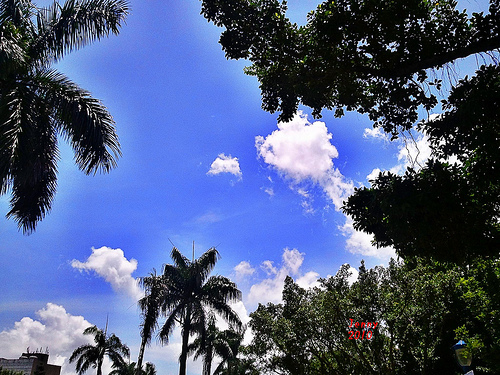 2010-08-09 好天氣