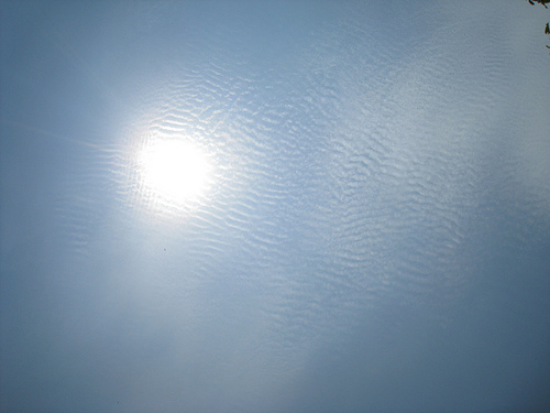 100422東勢林場 072