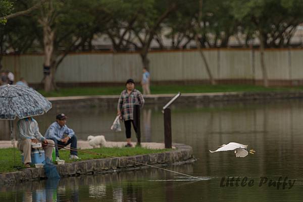 大湖公園