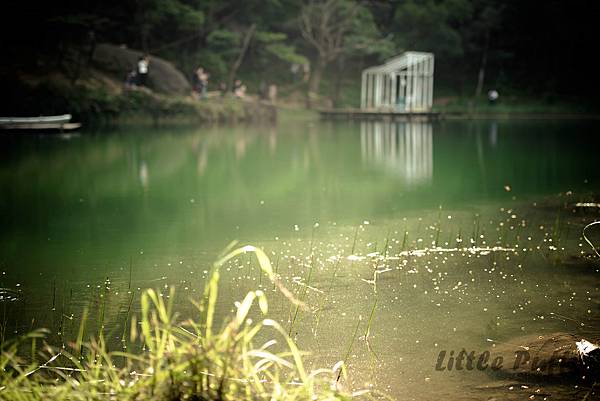 新山夢湖