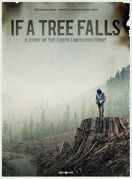 if a tree falls