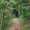 步道都長這樣