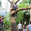 花果山水濂洞美猴王齊天大聖孫悟空