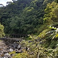 20200815_090146.jpg