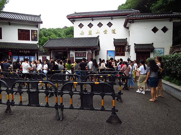 IMG_5395.jpg IMG_5395.jpg