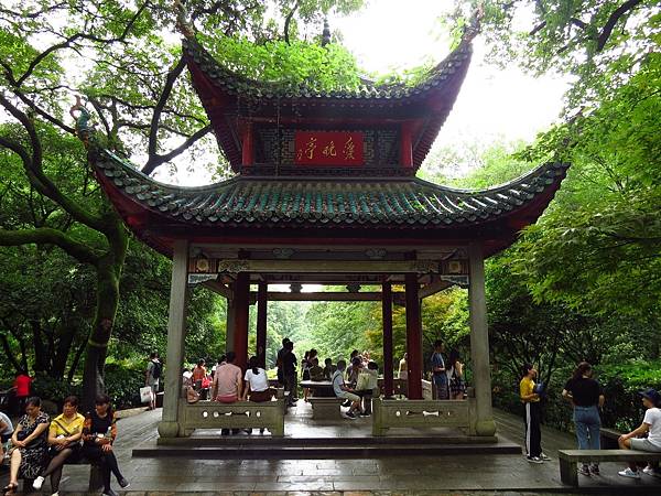 IMG_5481.jpg IMG_5481.jpg