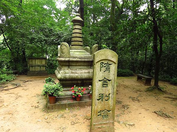 IMG_5472.jpg IMG_5472.jpg