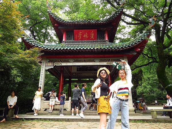 IMG_5494.jpg IMG_5494.jpg