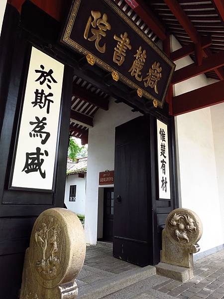 IMG_5586.jpg IMG_5586.jpg