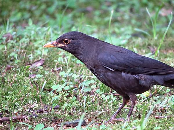 IMG_5618.jpg IMG_5618.jpg