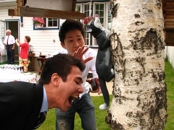 IMG_3377.jpg IMG_3377.jpg