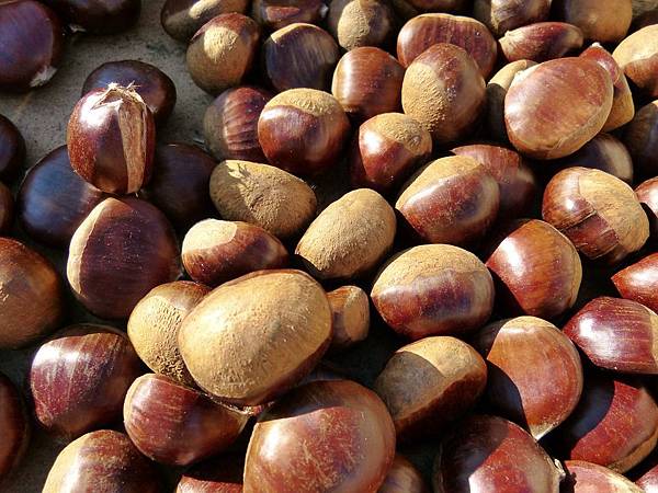 chestnuts-69075_960_720.jpg