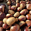 chestnuts-69075_960_720.jpg