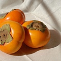 persimmons-1456186_960_720.jpg