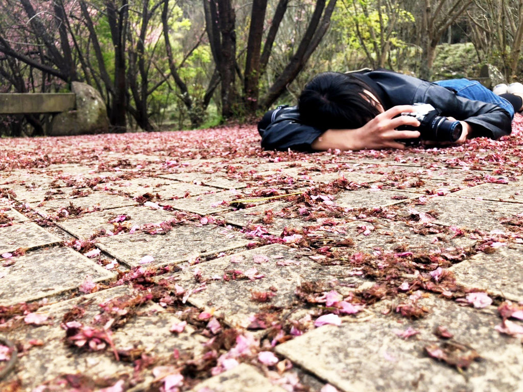 20190225_190226_02691.jpg 20190225_190226_02691.jpg