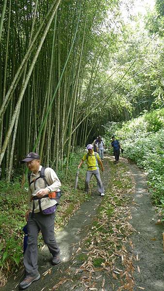 105.06.24 十字路來吉古道_4065.jpg