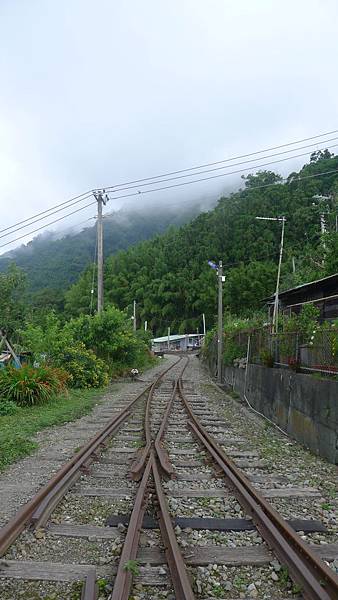 105.06.24 十字路來吉古道_4713.jpg