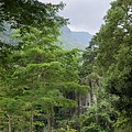 110417凍頂山鳳凰鳥園探勘行_210421_47.jpg