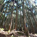 LINE_ALBUM_111年元旦探勘：石山引水道相片_220106_5.jpg