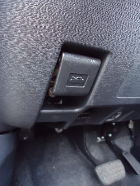 和運租車(日月潭水社站):【日月潭】搭上TOYOTA電動車~來個日月潭FUN電之旅吧 和運租車(日月潭水社站):【日月潭】搭上TOYOTA電動車~來個日月潭FUN電之旅吧