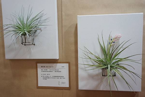 18.DSC03801.JPG 18.DSC03801.JPG