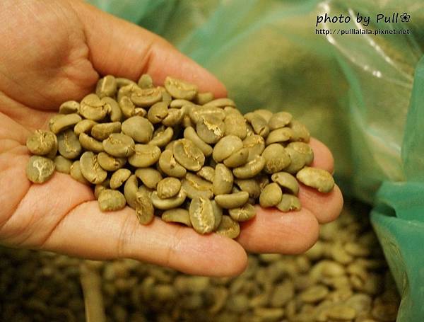 23.DSC05009.jpg 23.DSC05009.jpg