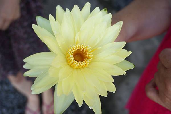 C.DSC04225.JPG C.DSC04225.JPG