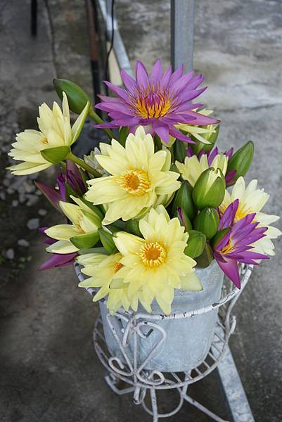 D.DSC04226.JPG D.DSC04226.JPG