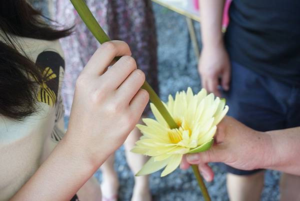 E.DSC04227.JPG E.DSC04227.JPG