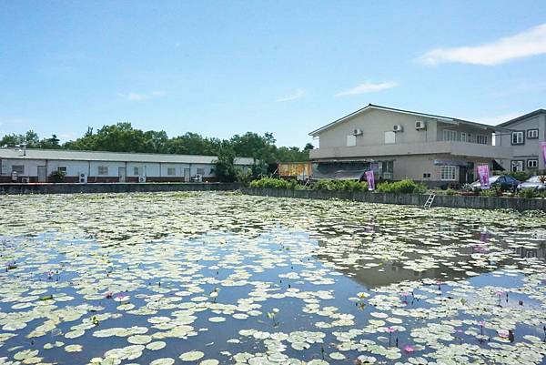 F.DSC04283.JPG F.DSC04283.JPG