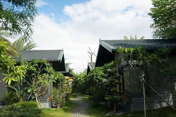 11.DSC04499.JPG 11.DSC04499.JPG