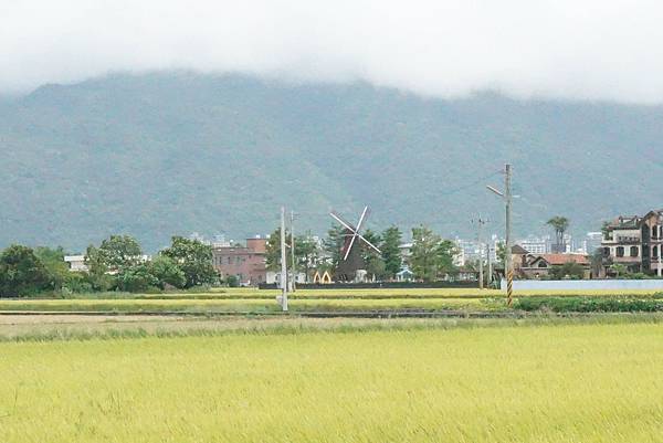 31.DSC04539.JPG 31.DSC04539.JPG