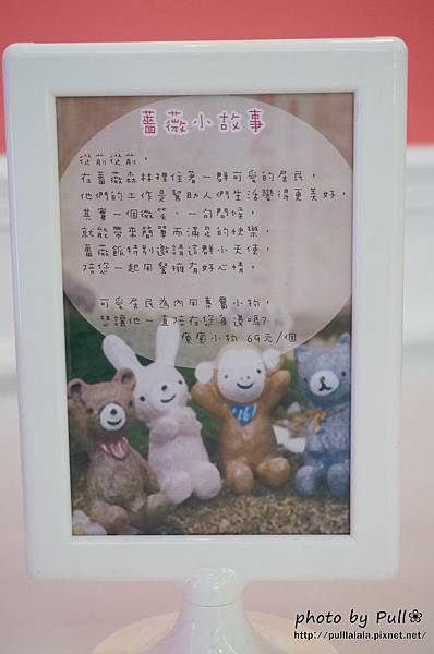 16.DSC07096.jpg 16.DSC07096.jpg