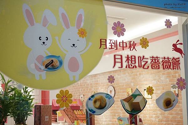 33.DSC07210.jpg 33.DSC07210.jpg