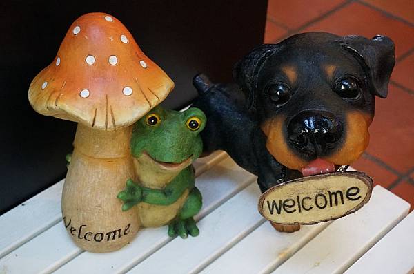 6.DSC08777.JPG 6.DSC08777.JPG