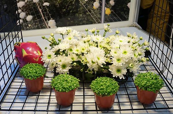 27.DSC09748.JPG 27.DSC09748.JPG