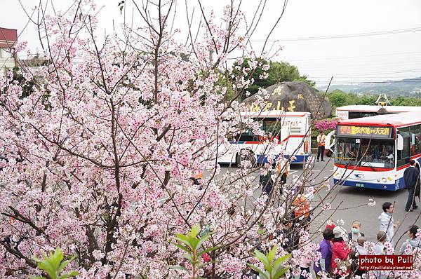 1.DSC09441.jpg 1.DSC09441.jpg